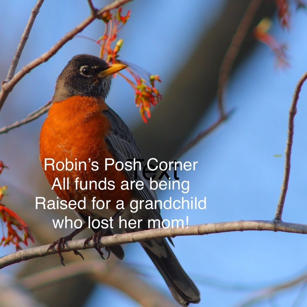 Meet your Posher, Robin